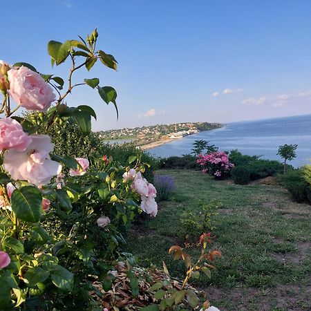 Villa Lavanda Vapnyarka Bagian luar foto
