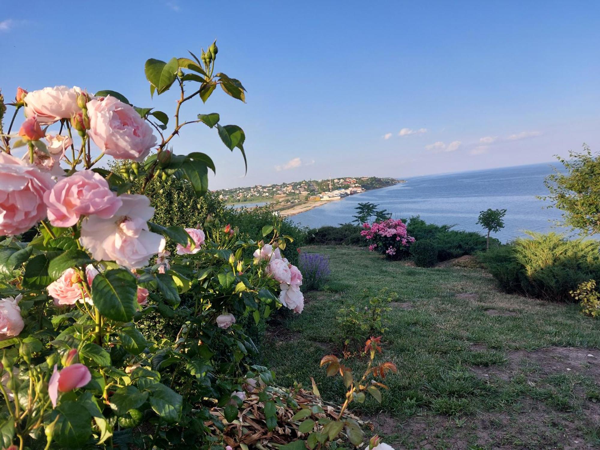 Villa Lavanda Vapnyarka Bagian luar foto